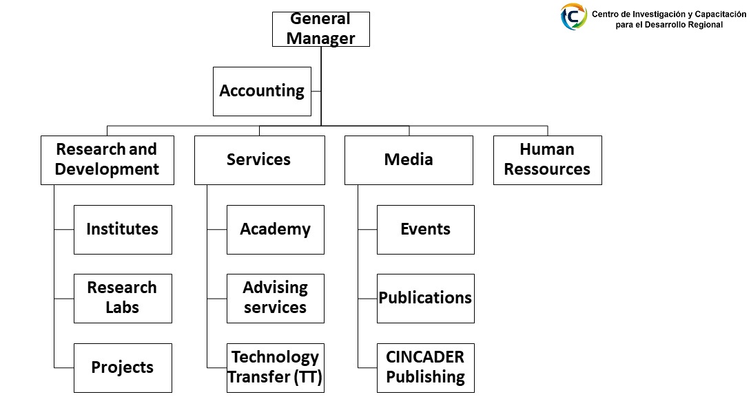 Organizational Structure